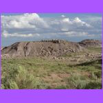 Petrified Wood 4.jpg